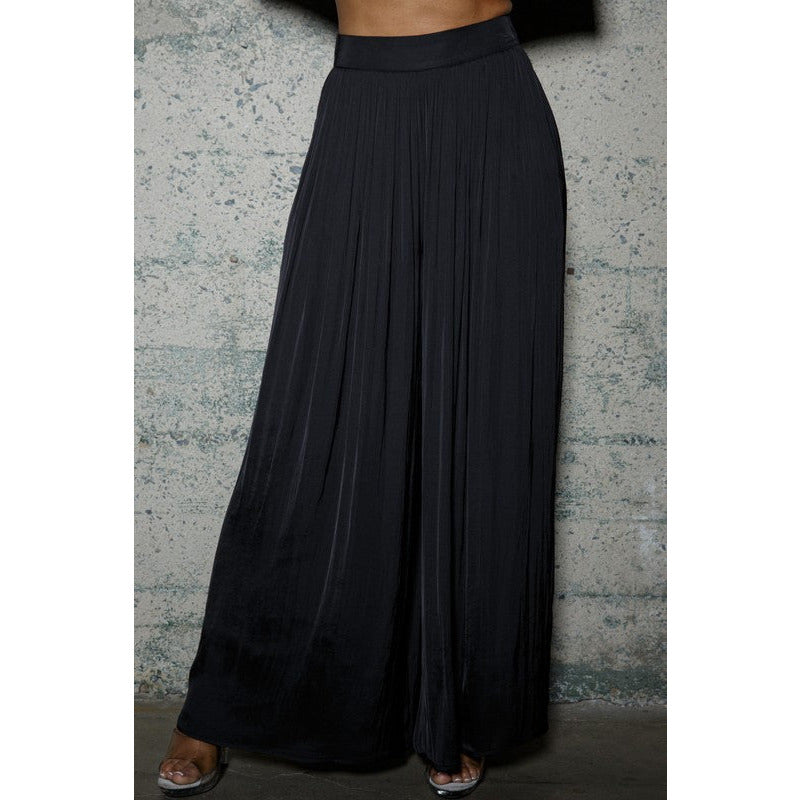 Sasha Wide Leg Pleated Dress Pants