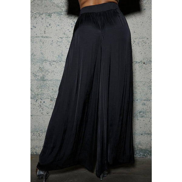 Sasha Wide Leg Pleated Dress Pants