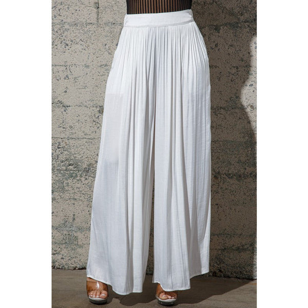 Sasha Wide Leg Pleated Dress Pants