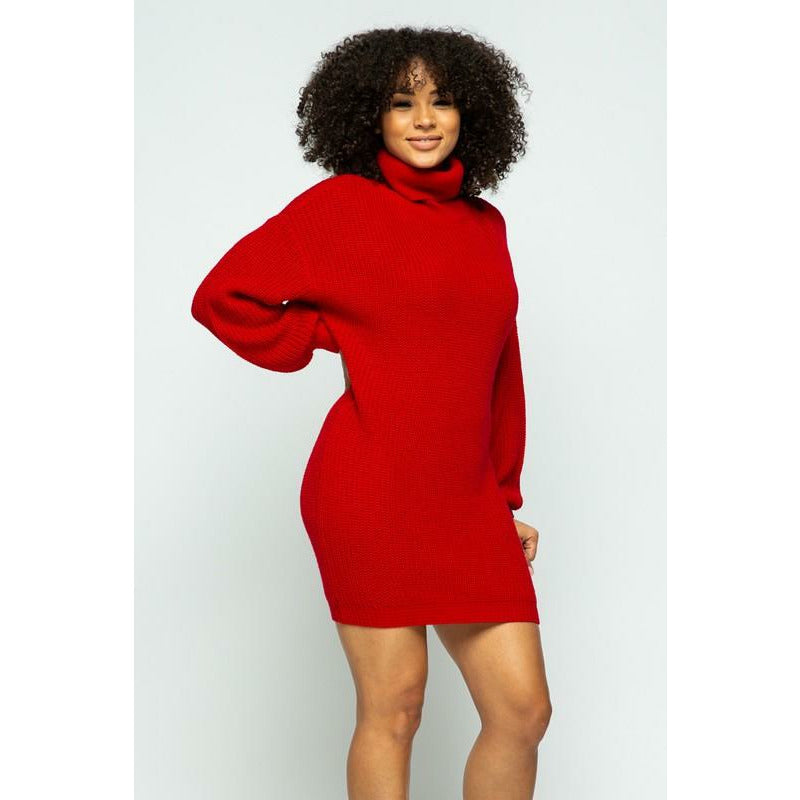 Gifted Oversized Turtleneck Sweater Dress